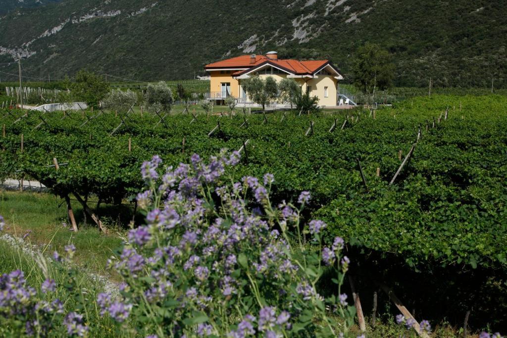 Appartamenti Al Vigneto Dro Eksteriør bilde
